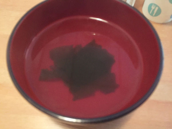 （FoOd台中)♥在老宅享用日式餐點之好道地的日本口味邊享用邊欣賞日本小物的[茶寮侘助]