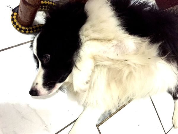 （FoOd彰化)♥那些年我們一起追的女孩之寒,彰化吃Q嫩嫩的彰化美食老担阿璋肉圓初訪