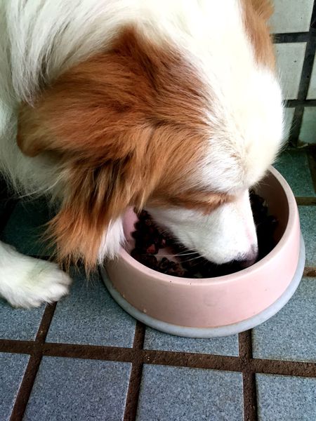 （FoOd彰化)♥那些年我們一起追的女孩之寒,彰化吃Q嫩嫩的彰化美食老担阿璋肉圓初訪