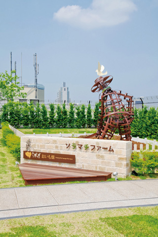 國外遊記看圖說話♥(蜜月)夏 TOKYO東京自助行0619DAY4♥晴空塔櫃位更新