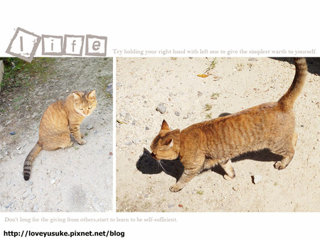 日本中部景點推薦