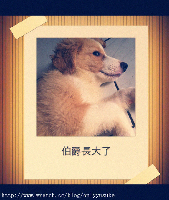 (3C)♥令人滿意到不行的app分享特區 PART-5更新停用＆新連結