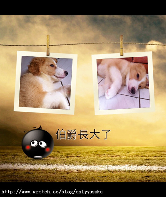 (3C)♥令人滿意到不行的app分享特區 PART-5更新停用＆新連結