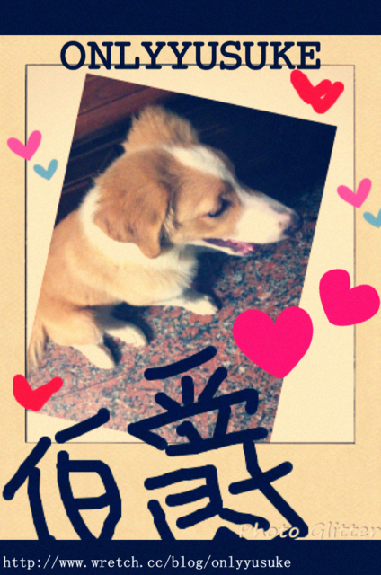 (3C)♥令人滿意到不行的app分享特區 PART-5更新停用＆新連結