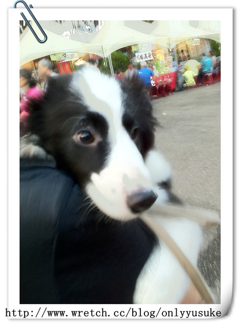 ♡(寵物)看圖說故事－雖然是短暫的時光 意外發現周杰倫2012