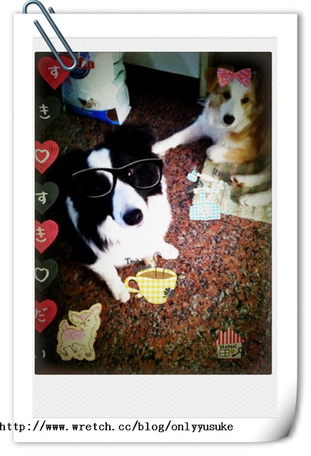 ♡(寵物)看圖說故事－雖然是短暫的時光 意外發現周杰倫2012