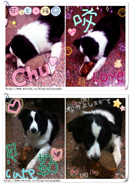 ♡(寵物)看圖說故事－雖然是短暫的時光 意外發現周杰倫2012