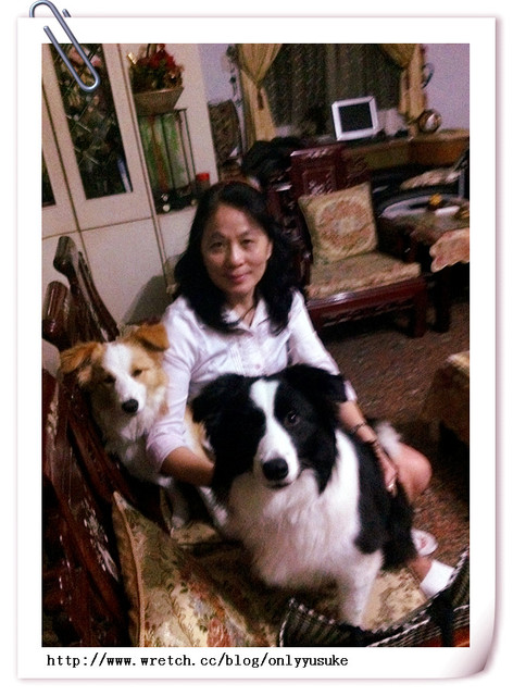 ♡(寵物)看圖說故事－雖然是短暫的時光 意外發現周杰倫2012