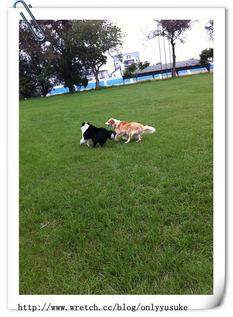 ♡(寵物)看圖說故事－雖然是短暫的時光 意外發現周杰倫2012