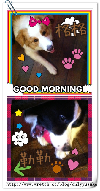 ♡(寵物)看圖說故事－雖然是短暫的時光 意外發現周杰倫2012