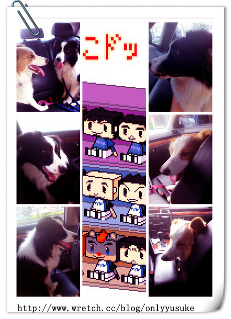 ♡(寵物)看圖說故事－雖然是短暫的時光 意外發現周杰倫2012