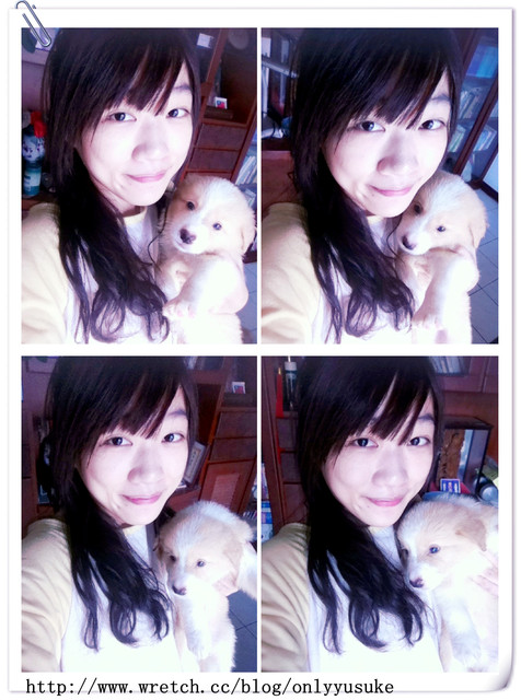 ♡(寵物)看圖說故事－雖然是短暫的時光 意外發現周杰倫2012