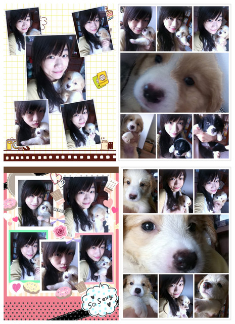 ♡(寵物)看圖說故事－雖然是短暫的時光 意外發現周杰倫2012