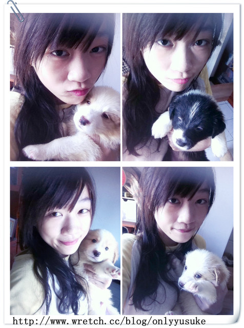 ♡(寵物)看圖說故事－雖然是短暫的時光 意外發現周杰倫2012