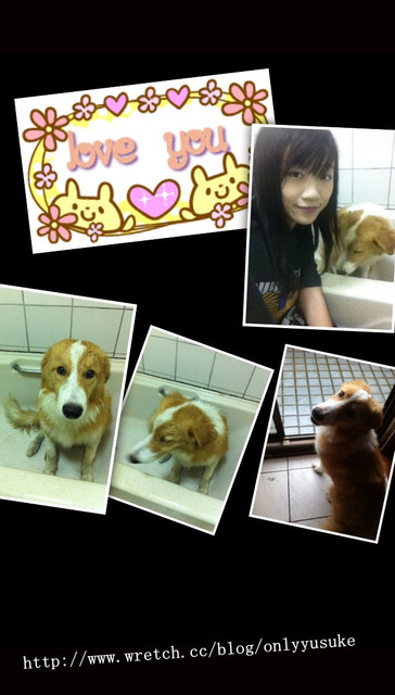 (3C)♥10款讓我感到小確幸的APP分享 1121發文　　