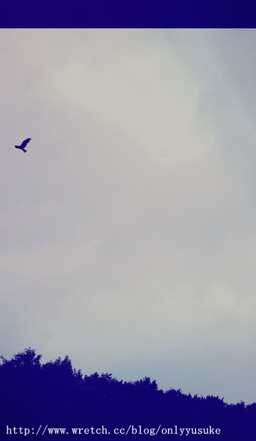 國外遊記看圖說話♥(蜜月)夏 OSAKA大阪♥DAY4♥0913發文