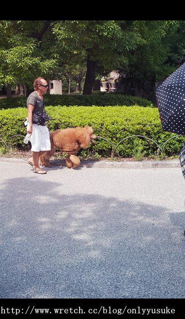 國外遊記看圖說話♥(蜜月)夏 OSAKA大阪♥DAY4♥0913發文