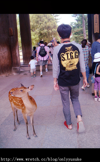 國外遊記看圖說話♥(蜜月)夏 OSAKA大阪♥DAY3♥0825