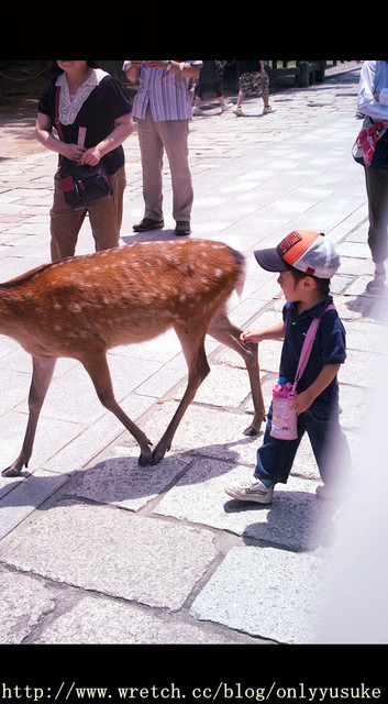 國外遊記看圖說話♥(蜜月)夏 OSAKA大阪♥DAY3♥0825