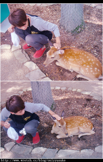 國外遊記看圖說話♥(蜜月)夏 OSAKA大阪♥DAY3♥0825