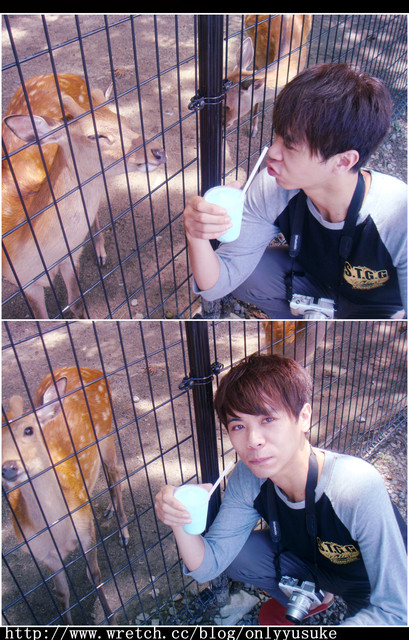 國外遊記看圖說話♥(蜜月)夏 OSAKA大阪♥DAY3♥0825