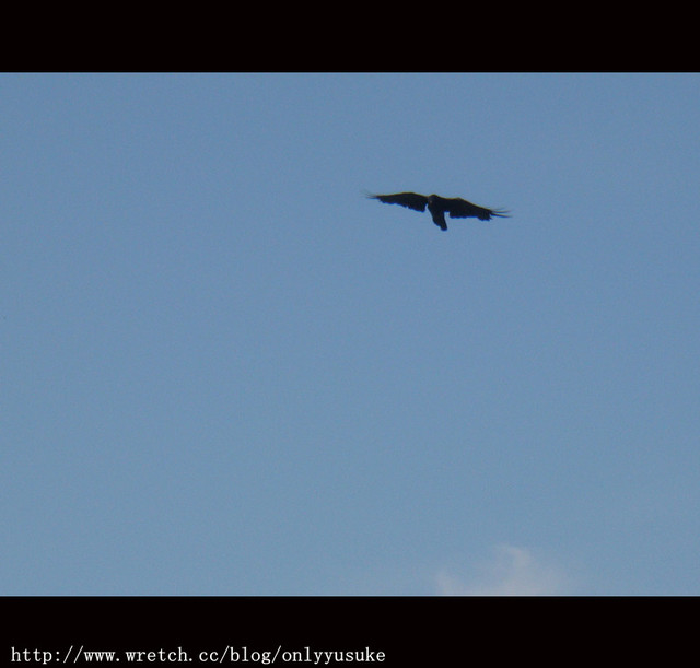 國外遊記看圖說話♥(蜜月)夏 OSAKA大阪♥DAY3♥0825