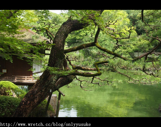 國外遊記看圖說話♥(蜜月)夏 OSAKA大阪♥DAY1 ♥　0730發文