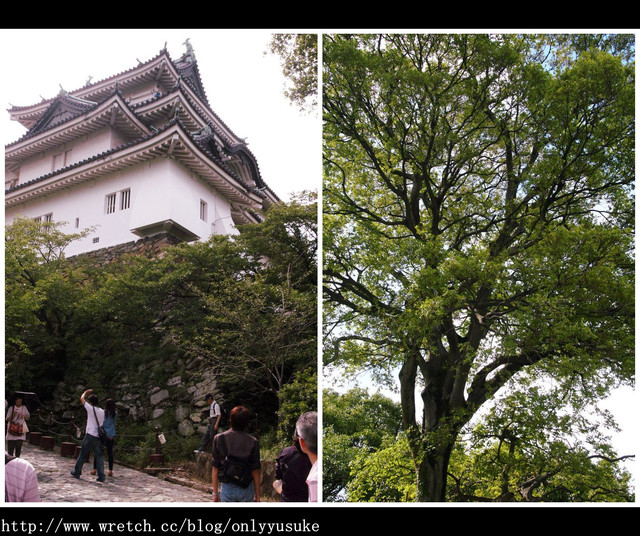 國外遊記看圖說話♥(蜜月)夏 OSAKA大阪♥DAY1 ♥　0730發文
