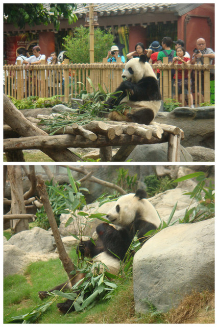國外遊記看圖說話♥(熱呼呼) 香港自助行 Day2