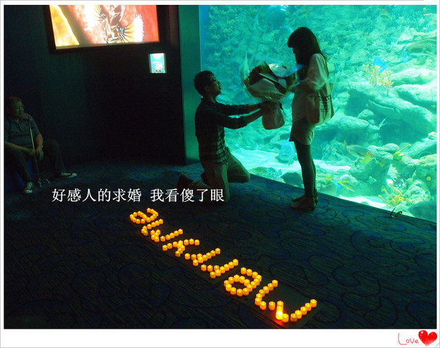 國外遊記看圖說話♥(熱呼呼) 香港自助行 Day2