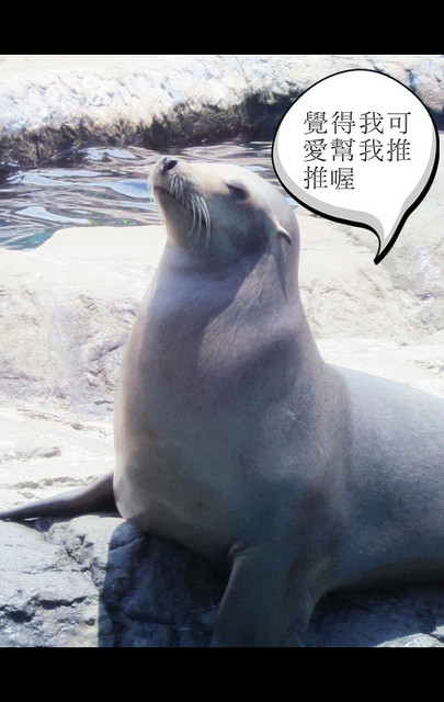 國外遊記看圖說話♥(熱呼呼) 香港自助行 Day2