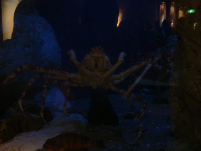 國外遊記看圖說話♥(該打) 都回來兩個多月後才出爐的 日本九州行 Day2