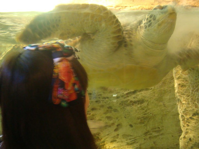 國外遊記看圖說話♥(該打) 都回來兩個多月後才出爐的 日本九州行 Day2