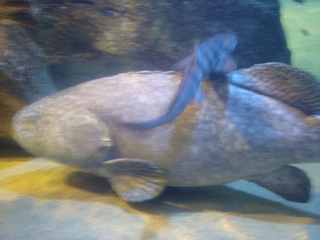 國外遊記看圖說話♥(該打) 都回來兩個多月後才出爐的 日本九州行 Day2