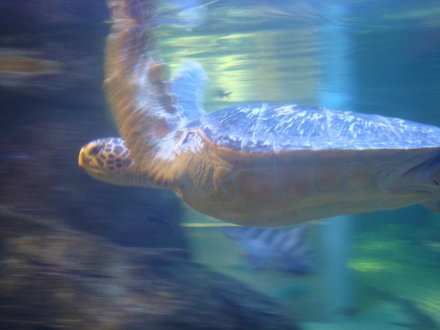 國外遊記看圖說話♥(該打) 都回來兩個多月後才出爐的 日本九州行 Day2