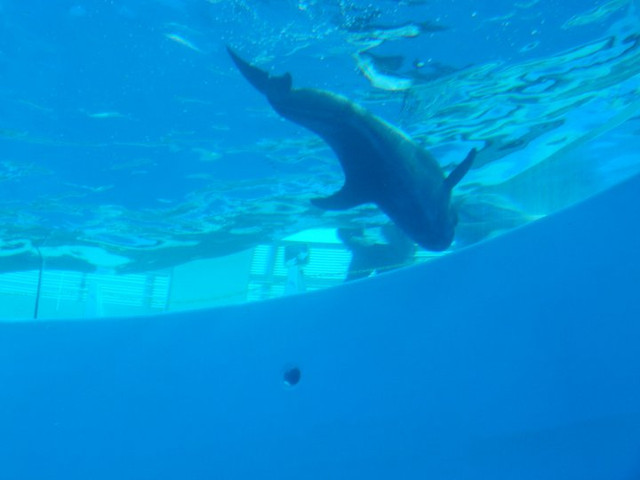 國外遊記看圖說話♥(該打) 都回來兩個多月後才出爐的 日本九州行 Day2