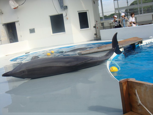 國外遊記看圖說話♥(該打) 都回來兩個多月後才出爐的 日本九州行 Day2