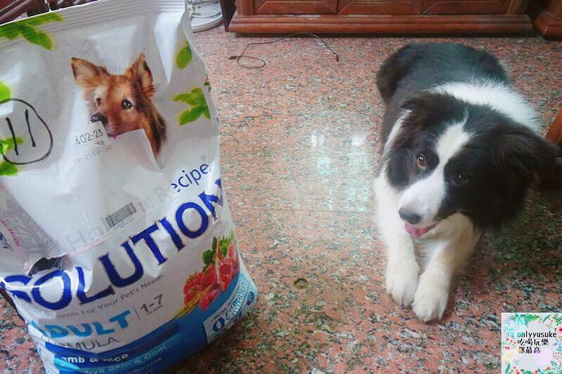 (寵物)【耐吉斯低敏狗飼料】添加可讓狗狗皮毛亮麗的羊油，我家邊境牧羊犬們的新歡