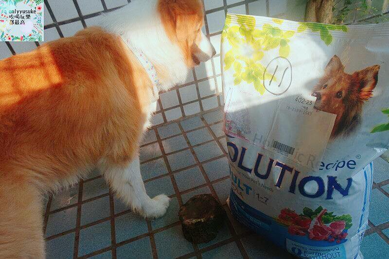 (寵物)【耐吉斯低敏狗飼料】添加可讓狗狗皮毛亮麗的羊油，我家邊境牧羊犬們的新歡