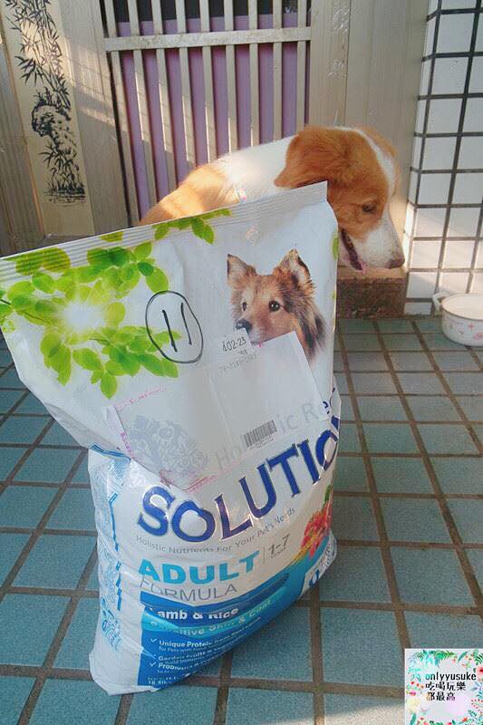 (寵物)【耐吉斯低敏狗飼料】添加可讓狗狗皮毛亮麗的羊油，我家邊境牧羊犬們的新歡