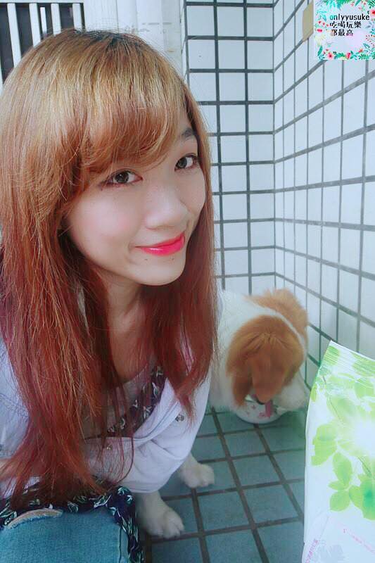 (寵物)【耐吉斯低敏狗飼料】添加可讓狗狗皮毛亮麗的羊油，我家邊境牧羊犬們的新歡