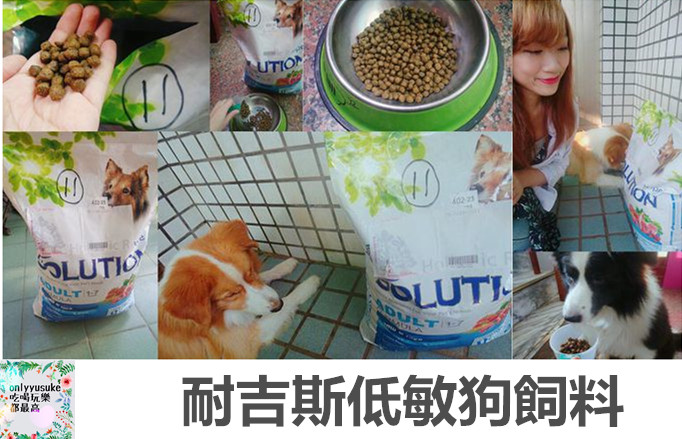 (寵物)【耐吉斯低敏狗飼料】添加可讓狗狗皮毛亮麗的羊油，我家邊境牧羊犬們的新歡