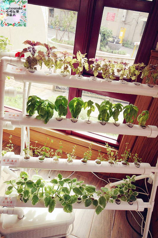 桃園龜山【Bistro181 法式烘焙坊】異國風綠色植物烘焙坊,美味麵包餐盒