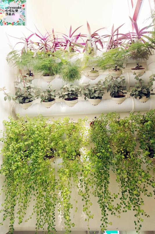 FoOd桃園龜山【Bistro 181法國餐廳】有機健康美味令人安心的溫室植物餐廳