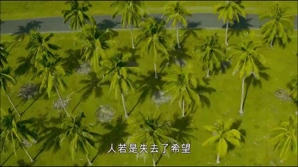 (電影)日本【不幹了！我開除了黑心公司】看完人生將再度充滿希望,引起上班族共鳴的優質電影