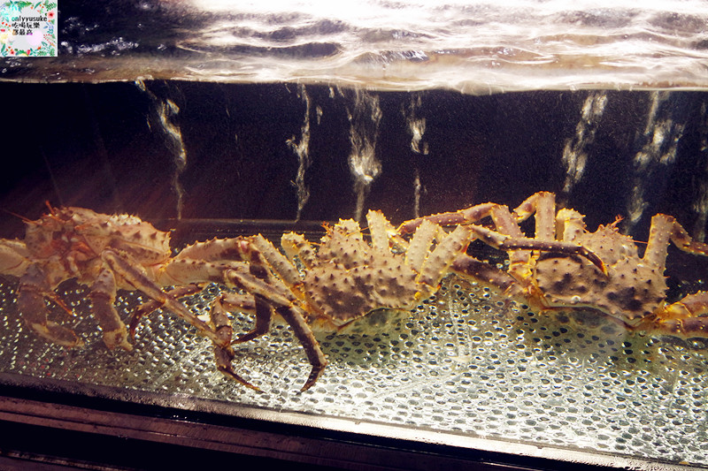 桃園火鍋【圓味涮涮鍋】比吃到飽還要飽的份量滿滿,新鮮肉片,手工火鍋料