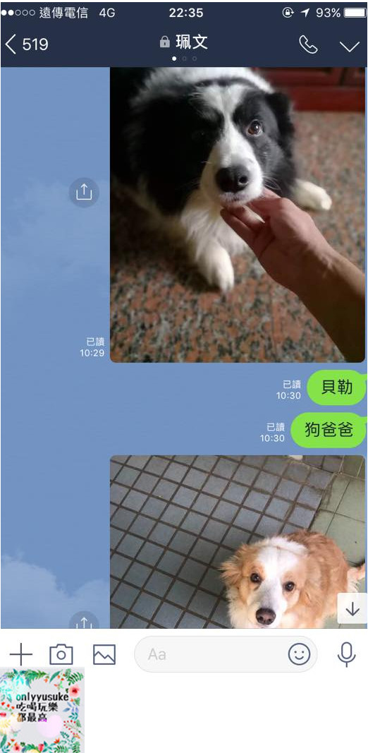 (寵物)【寵物溝通師】人類與寵物之間的媒介,進一步更深緣份的橋樑