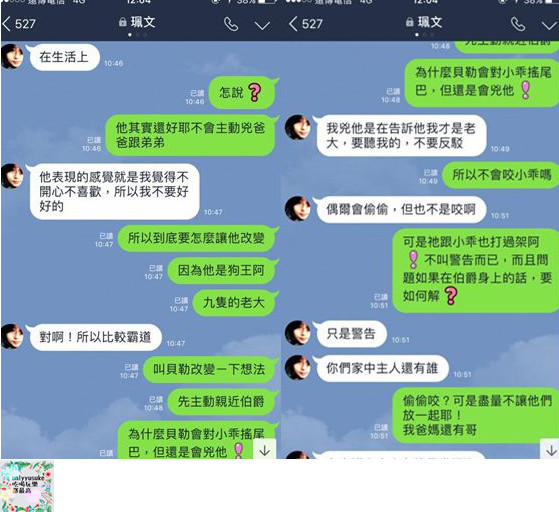 (寵物)【寵物溝通師】人類與寵物之間的媒介,進一步更深緣份的橋樑