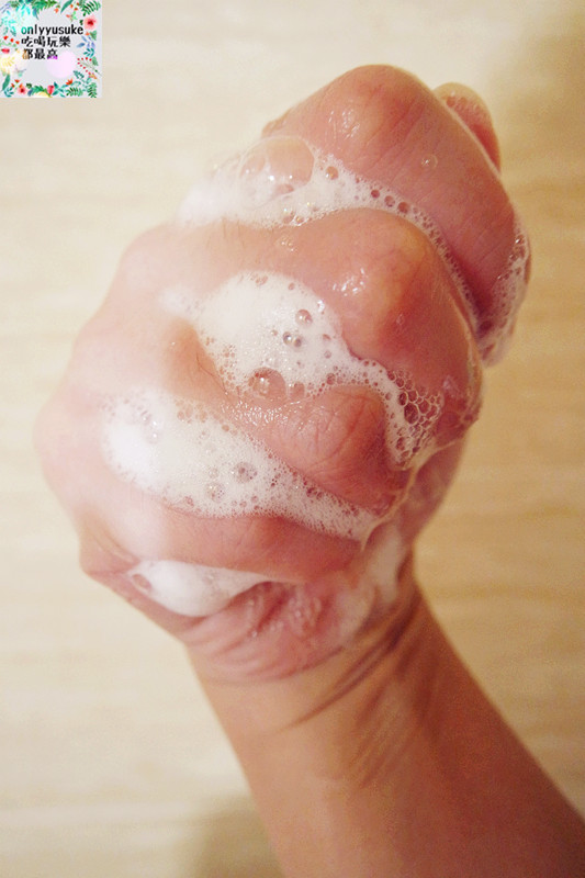 【BERNICE柏妮絲海甘藍植萃草本護色洗髮精】便宜生活館,來自法國保濕柔順護色洗