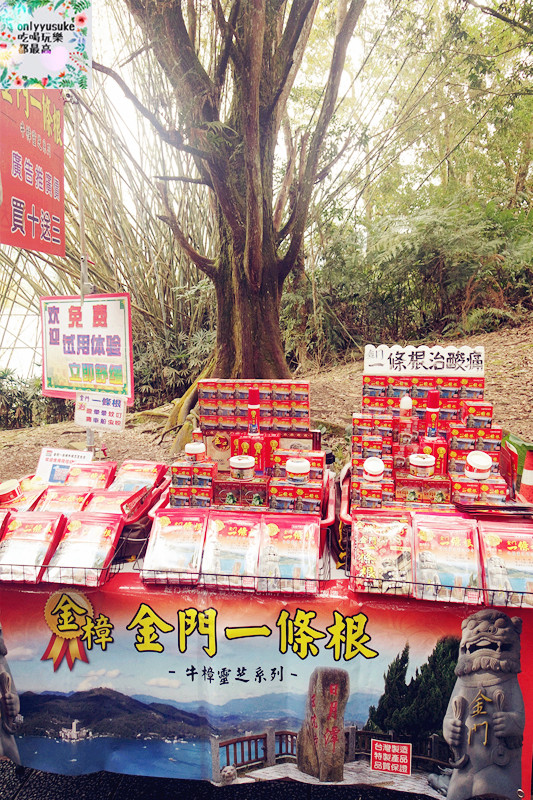 (國內旅遊南投)【日月潭一日遊】許久沒來,度假風情依然滿滿